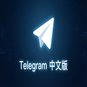 纸飞机中文版如何查看频道或群组的成员列表？（亲测可用） - Telegram 官网
